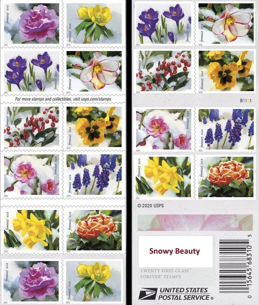 Snowy Beauty Bloom Forever First Class Postage Stamps