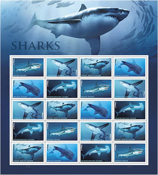 Sharks Ecotourism Conservation Preservation Ecology Nature Forever First Class Postage Stamps