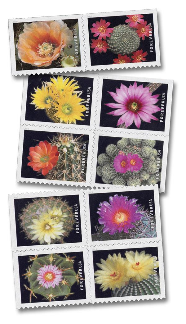 Cactus Flowers Forever First Class Postage Stamps - Mailboxes of Flushing