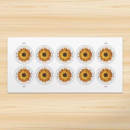 Global African Daisy International First Class Forever US Postage Stamps - Mailboxes of Flushing